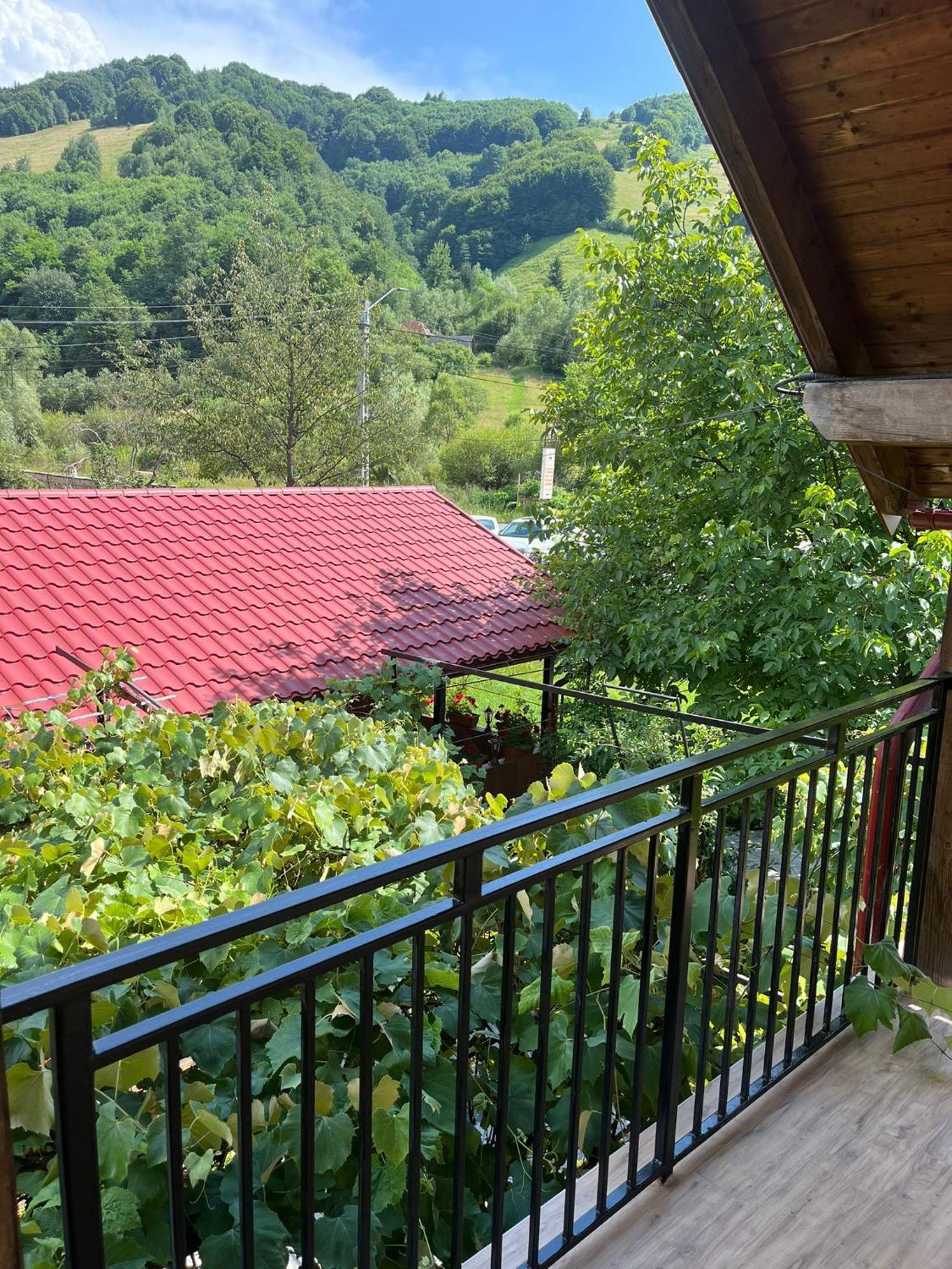 Hotel Kilometru108 à Leordina Extérieur photo